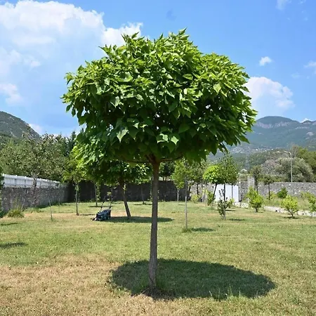 The Emerald Courtyard Βίλα