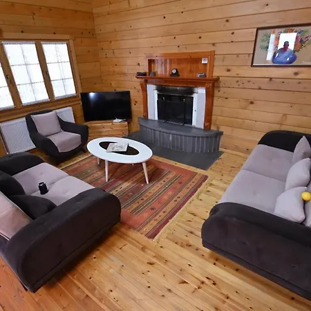 The Emerald Courtyard Villa *