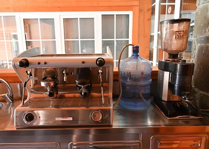 The Emerald Courtyard Villa Elbasan