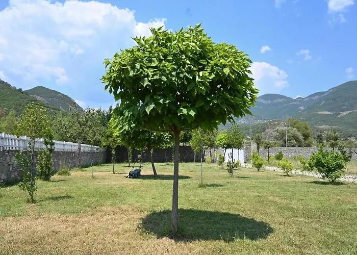 The Emerald Courtyard 别墅